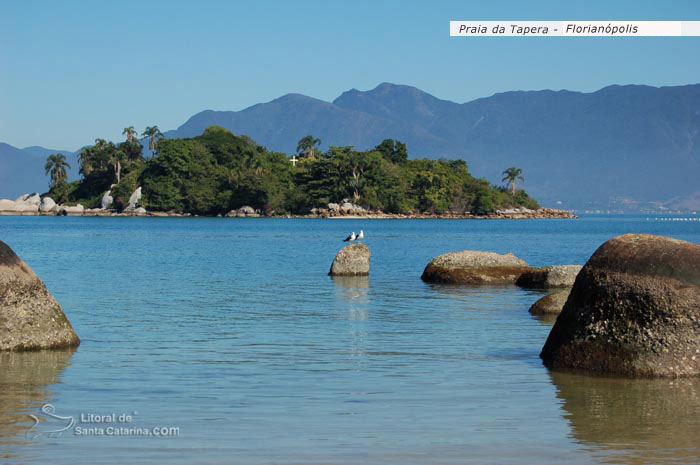 praia da tapera, mar tranquilo, duas gaivotas em cima da pedra e ao fundo uma ilha linda